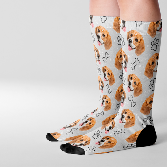 Calcetines de Beagle