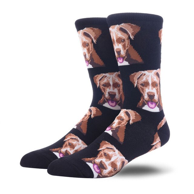 Calcetines de Pitbul